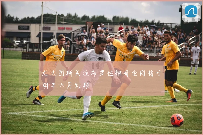 尤文图斯关注布罗佐维奇合同将于明年六月到期