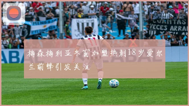 梅森梅利亚冬窗加盟热刺18岁爱尔兰前锋引发关注