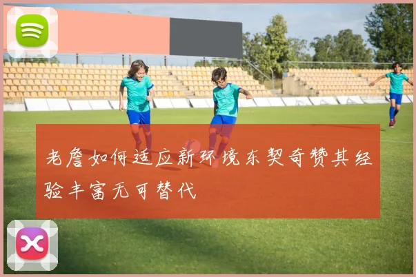 老詹如何适应新环境东契奇赞其经验丰富无可替代