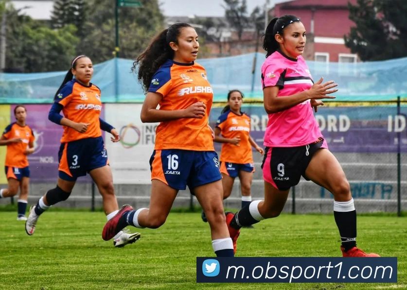 OB体育APP 封面图